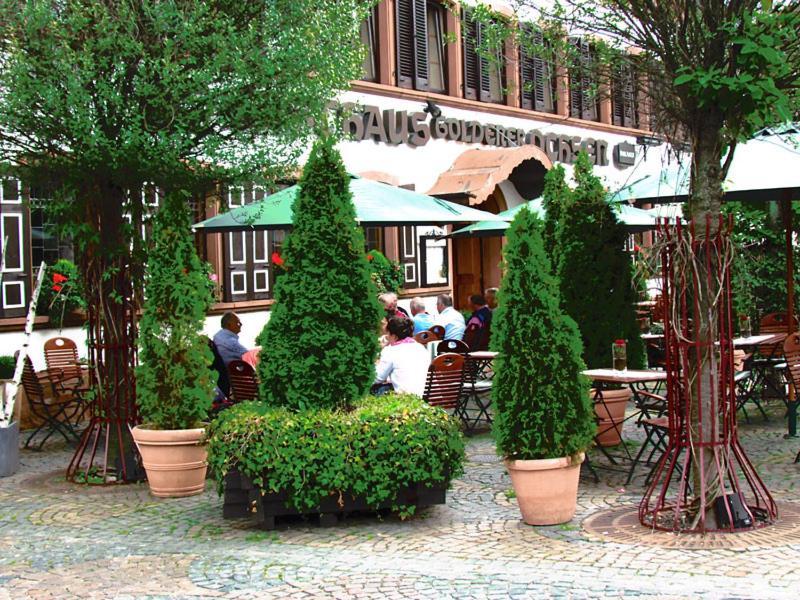 Hotel Zum Goldenen Ochsen Maikammer Exterior photo